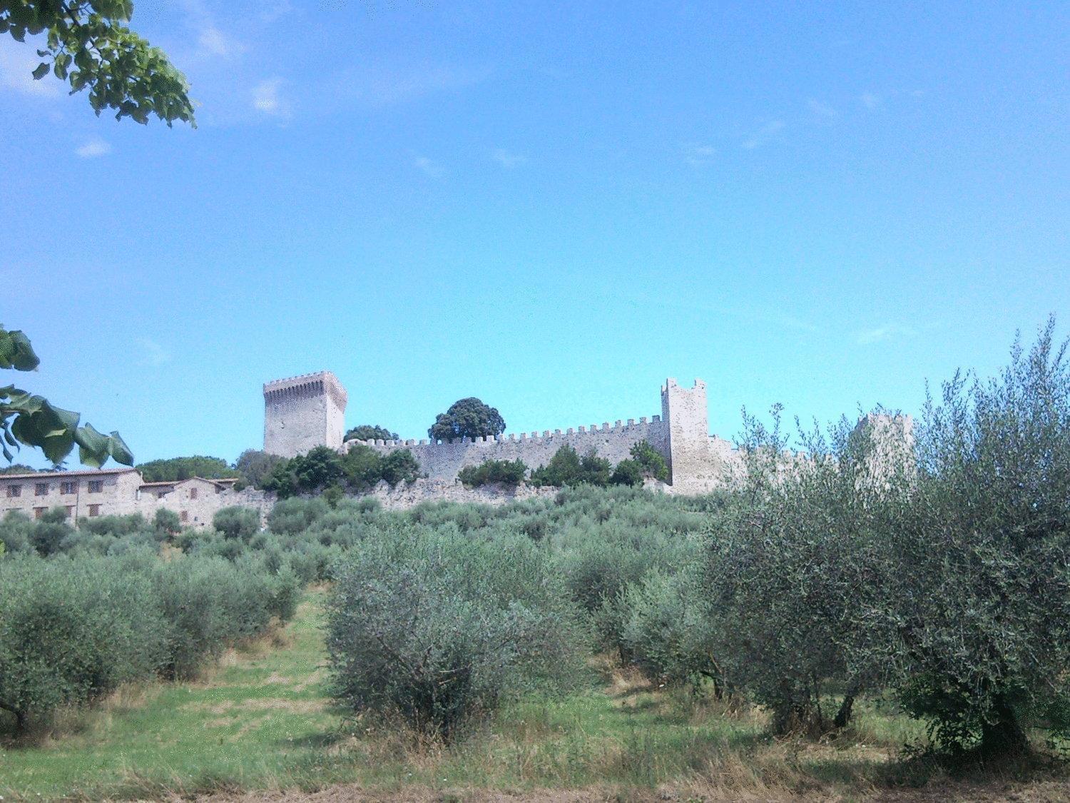 קאסטיגליונה דל לאגו Hotel Trasimeno Bittarelli מראה חיצוני תמונה
